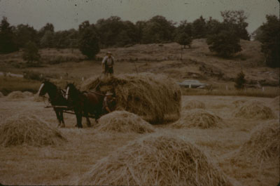 Haying at McGown's