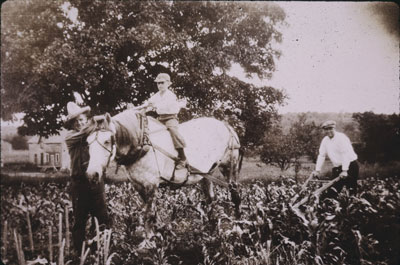 Conrad Smith Ploughing