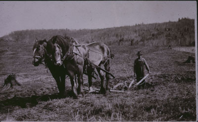 Jack McRoberts and His Team of Horses