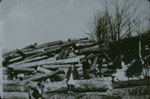 Logs at Hulton and Shoebottom Mill