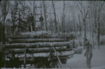 Load of Logs at Shoebottom's