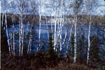 Cochrane Lake from Brook Farm