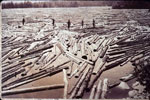 Log Boom on Otter Lake