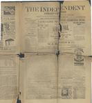 Grimsby Independent, 21 Jun 1888