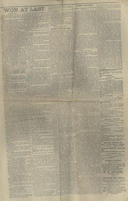 Grimsby Independent, 20 Mar 1890