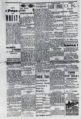 Grimsby Independent, 3 Aug 1893