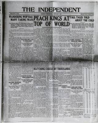 Grimsby Independent, 4 Feb 1925