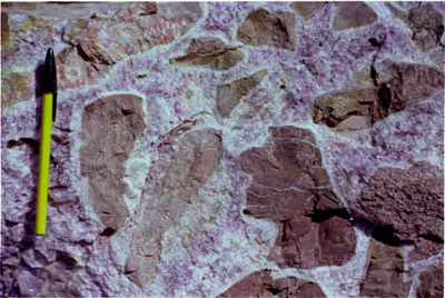 Thunder Bay Amethyst Mine - Amethyst Vein