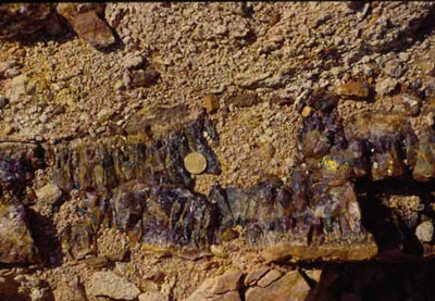 Amethyst Large Crystals