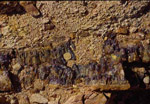 Amethyst Large Crystals