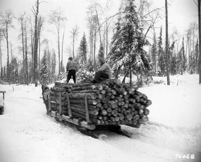 Logging - Horse Drawn Sleigh