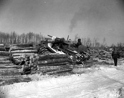 Logging at Peninsula