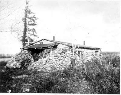 Miner's Cabin in Summer