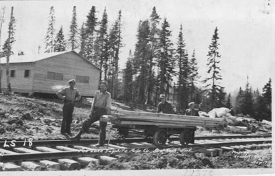 Lake Sulphite Pulp and Paper Co. (1937)