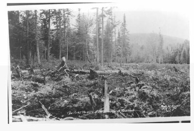 Clearing for Red Rock Town Tosite (1937)