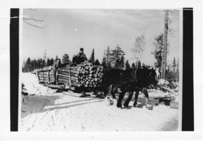 Logging sled