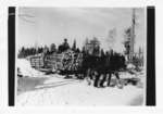 Logging sled