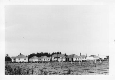 Logging camp