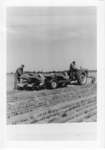 Planting trees, Great Lakes Paper Co.