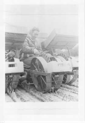 Tree planting, Great Lakes Paper