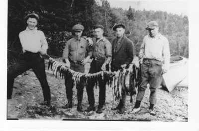 A few fish from Lanner Lake, 1920's.