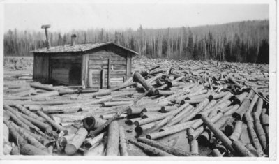 Logging in 1934