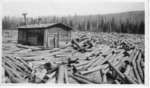 Logging in 1934