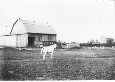 Barn on Scott Farm