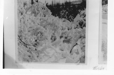 Winter Scene of Kakabeka Falls.