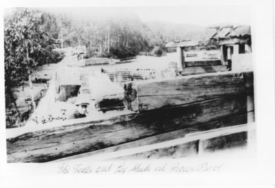 The Falls and Log Chute at Pigeon River.