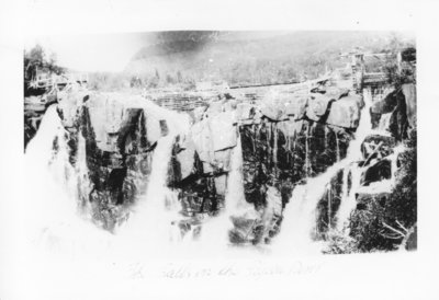 The Falls on the Pigeon River.