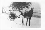 Horse Drawn Vehicle