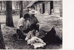 Sheep Shearing, Old Fort William