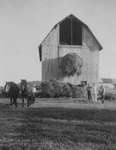 Hanson's Barn