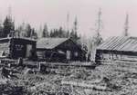 Hardwick Lake Bush Camp