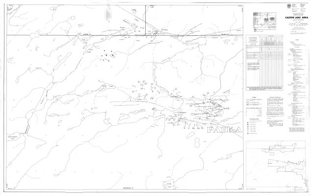 Castor Lake Area : District of Thunder Bay Ontario Geological Survey Preliminary Map