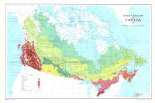 Forest Regions of Canada