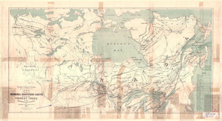 General Northern Limits of the Principal Forest Trees of the Dominion of Canada