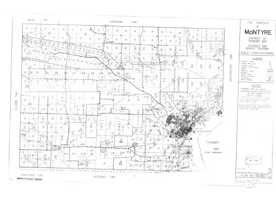 The Township of McIntyre : District of Thunder Bay