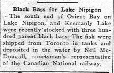 Black Bass for Lake Nipigon