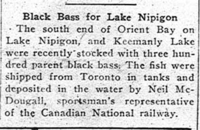 Black Bass for Lake Nipigon