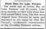 Black Bass for Lake Nipigon