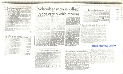 Schreiber Man Is Killed In Car Crash With Moose