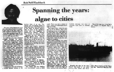 Spanning the years: algae to cities