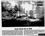 Great forest fire of 1908