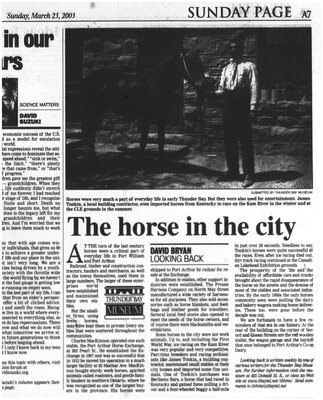 The horse in the city