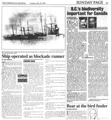 Ship operated as blockade runner