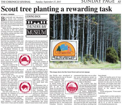 Scout tree planting a rewarding task