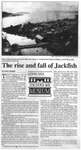 The rise and fall of Jackfish