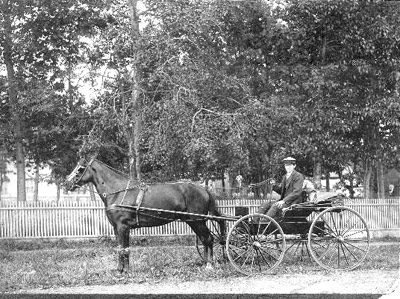 George Boy, Horse and Buggy (1895)